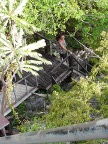 Nina on stairs to viewpoint.JPG (120 KB)